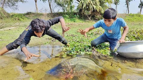 Amazing Hand Fishing Videos Village Boy Catching Fish By Hand From