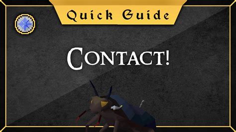 Updated Contact Quest Guide Youtube