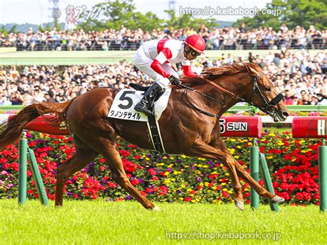 競馬ブックネットshop カラープリントアルミ枠付き2024年5月26日東京11r ダービーダノンデサイル