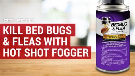 Kill Bed Bugs Fleas With Hot Shot Fogger How To Use Hot Shot Fogger