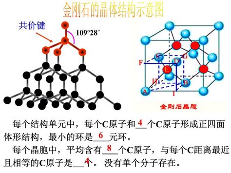 高中化学人教版 2019选择性必修2第三章 晶体结构与性质第二节 分子晶体与共价晶体图文ppt课件 教习网课件下载