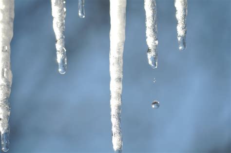 Free Images Water Branch Snow Cold Winter Light Sunlight Frost