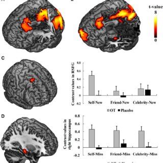 FMRI Results In Experiment 3 A Brain Regions Showed Significant