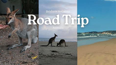 Australia Road Trip Brisbane To Cairns AUSTRALIA VLOG YouTube