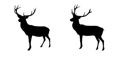 Set Black And White Deer With Horns Isolated On Background Vector