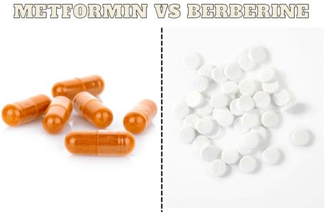 Metformin Vs Berberine Comparison Dosage Price A Guide