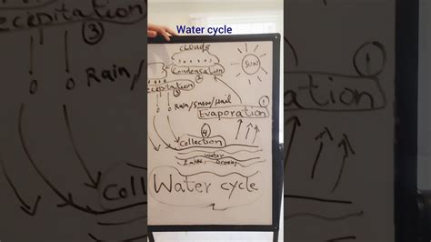 Water Cycle Pre K And 2nd Grade Youtube