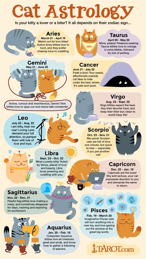 Your Zodiac Sign Your Cat