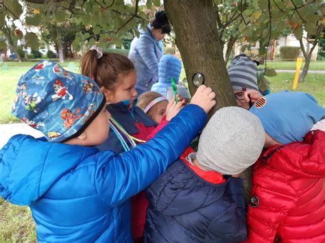 W Poszukiwaniu Jesieni Publiczne Przedszkole Nr