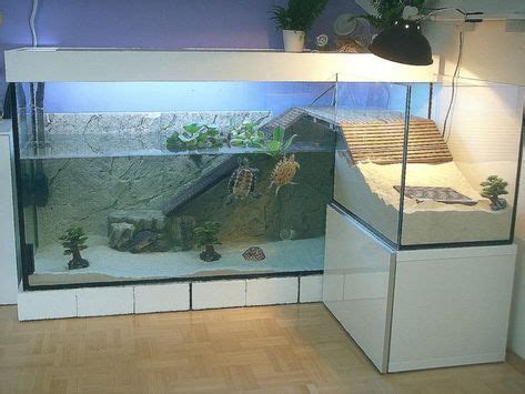 30+ Best Aquarium images in 2020 | aquarium, turtle tank, turtle habitat