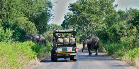 Safari Kruger National Park Consigli Trip To Try