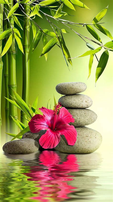 571 Flower Zen Background Picture MyWeb