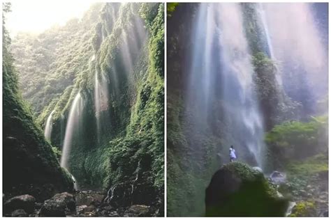 Htm Ribu Aja Rute Dan Lokasi Air Terjun Madakaripura Tinggi