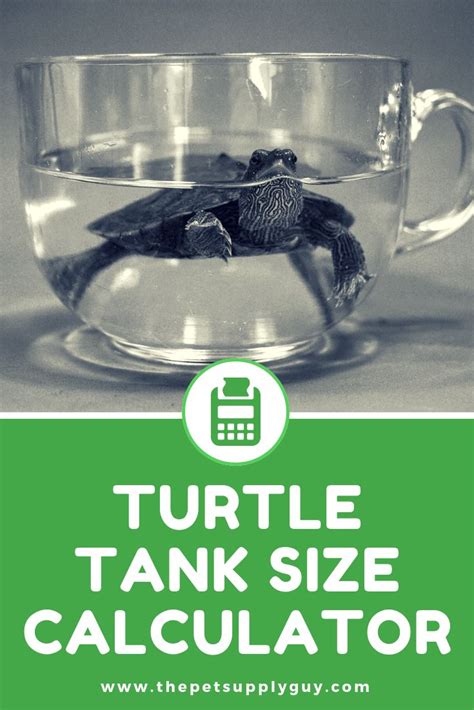 Turtle Tank Size Calculator 🐢 The Pet Supply Guy | Turtle tank, Turtle ...