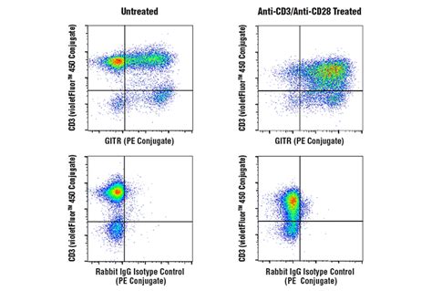 Gitr D V P Rabbit Mab Pe Conjugate Cell Signaling Technology