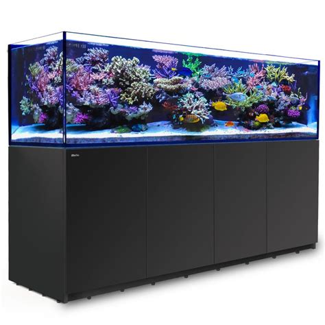 Aquariums Cornwall Aquatics Aquarium Services