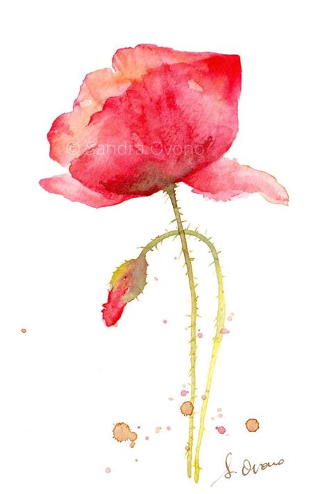 Reproduction Aquarelle Coquelicot Peinture De Par SandraOvono