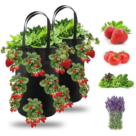 Pcs Sac De Plantation Pour Fraise Sacs De Culture Fraises Suspendu