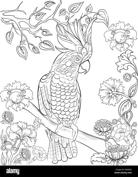 Adult Coloring Book Stencil Coloring Pages