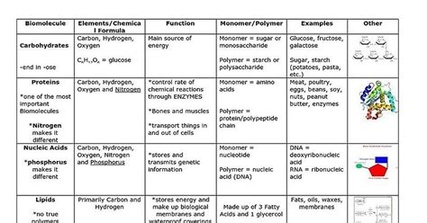 Give An Example Of Each Macromolecule