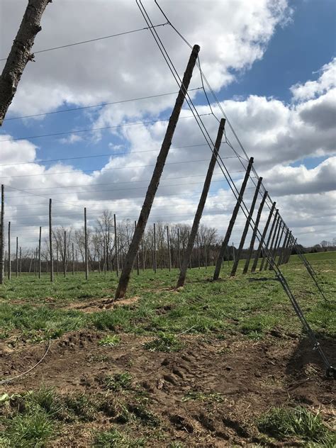 Forest City Hops Empire Trellis Empire Hop Farm