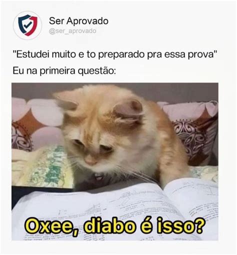 Pin De Fernanda Barros Em Memes Em Memes Engra Ados Memes