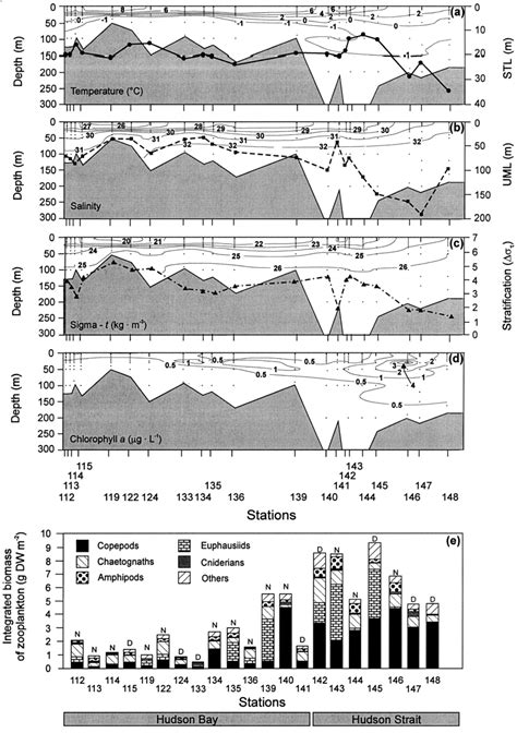 Vertical Distribution Of Salinity Temperature T Chlorophyll A And