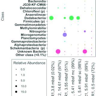 Relative Abundance Of Amplicon S Rrna Gene V V Sequences In