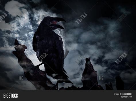 Scary Crow