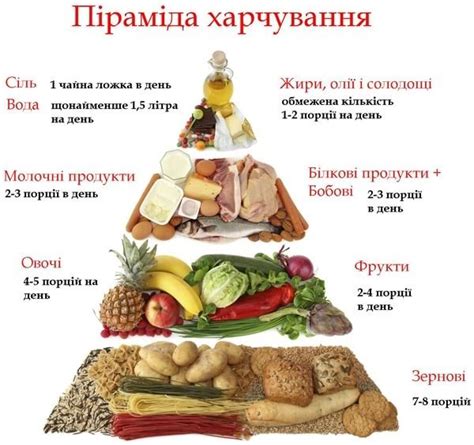 Піраміда харчування - Пробіотик Біолакт