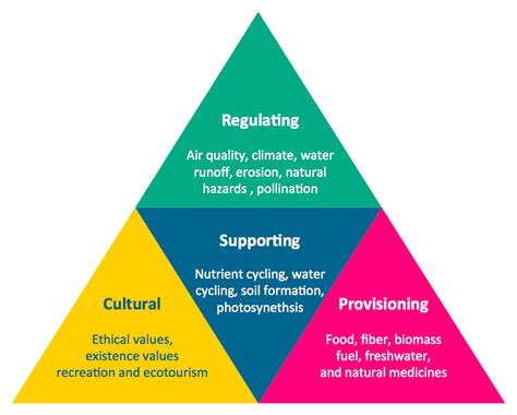 Diagram of a Pyramid