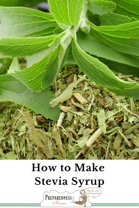 How To Make Stevia Syrup Artofit