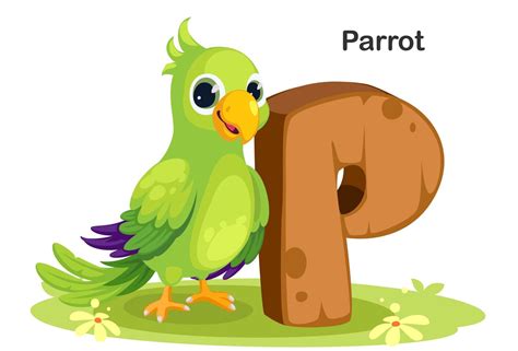 P for Parrot 1236957 Vector Art at Vecteezy