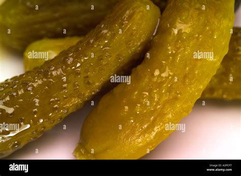 Pickled Gerkin Hi Res Stock Photography And Images Alamy