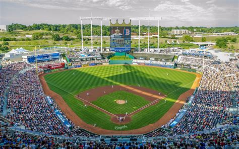 Kansas City Royals - Stadium Dude