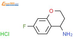 7 氟色满 4 胺盐酸盐 7 Fluorochroman 4 amine hydrochloride 191608 21 6 上海麦克林生化