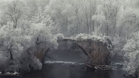 A Concrete Bridge Surrounded by Snow Covered Trees · Free Stock Photo