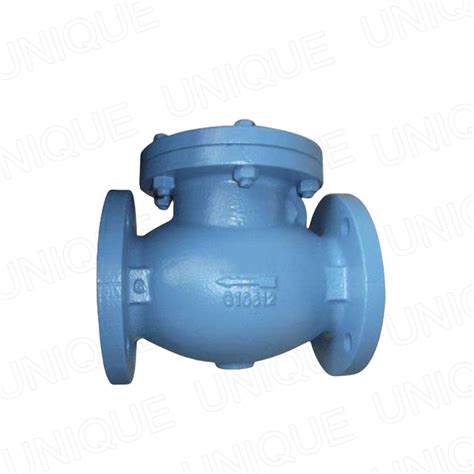 China China High Quality 4 Cast Iron Check Valve Supplier Pn16 Dn100 Ductile Iron Check Valve