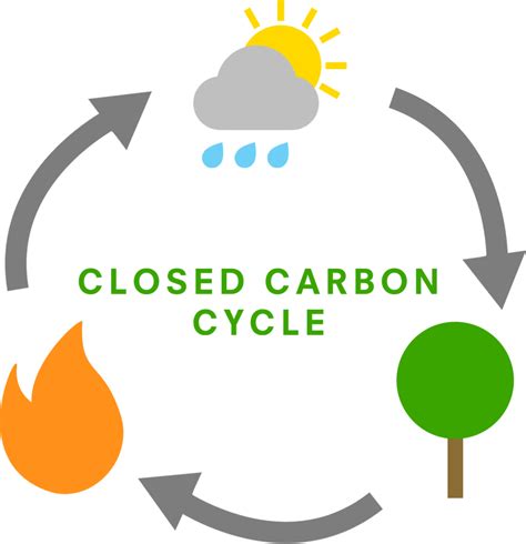 closed-carbon-cycle - FGE Biomass