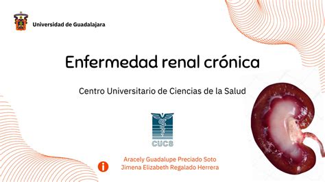 Solution Enfermedad Renal Cr Nica Studypool