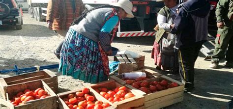 Sube El Precio Del Tomate En El Alto