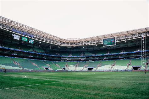 Palmeiras Negocia Empresa De Bet Para Patroc Nio