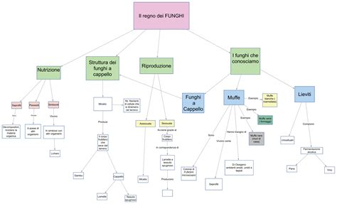 Il Regno Dei Funghi Lo Scienziato Impertinente