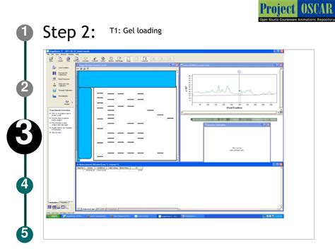 PPT - SDS-PAGE gel analysis PowerPoint Presentation, free download - ID ...