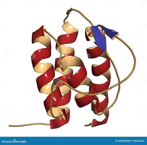 Interleukin 13 IL 13 Cytokine Protein 3D Illustration Stock