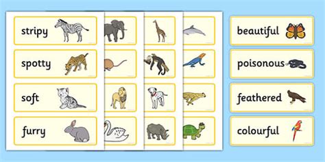 Animal Adjectives Word Cards Animal Adjective Movement Words