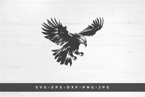 Flying Eagle Hawk With Open Wings Wild Graphic By Vasyako1984 · Creative Fabrica