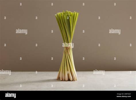 Front View Of Fresh Lemongrass Bunch Isolated On Gray Background