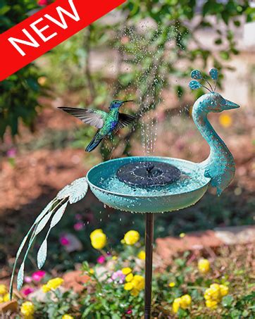 Amazon Qipade Inches Deck Mounted Bird Bath Feeder Bowlmetal