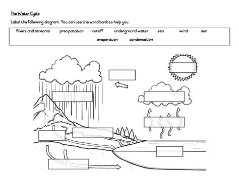 Earth Science Worksheet Label Stages Of The Water Cycle By